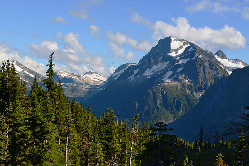 Cariboo street view