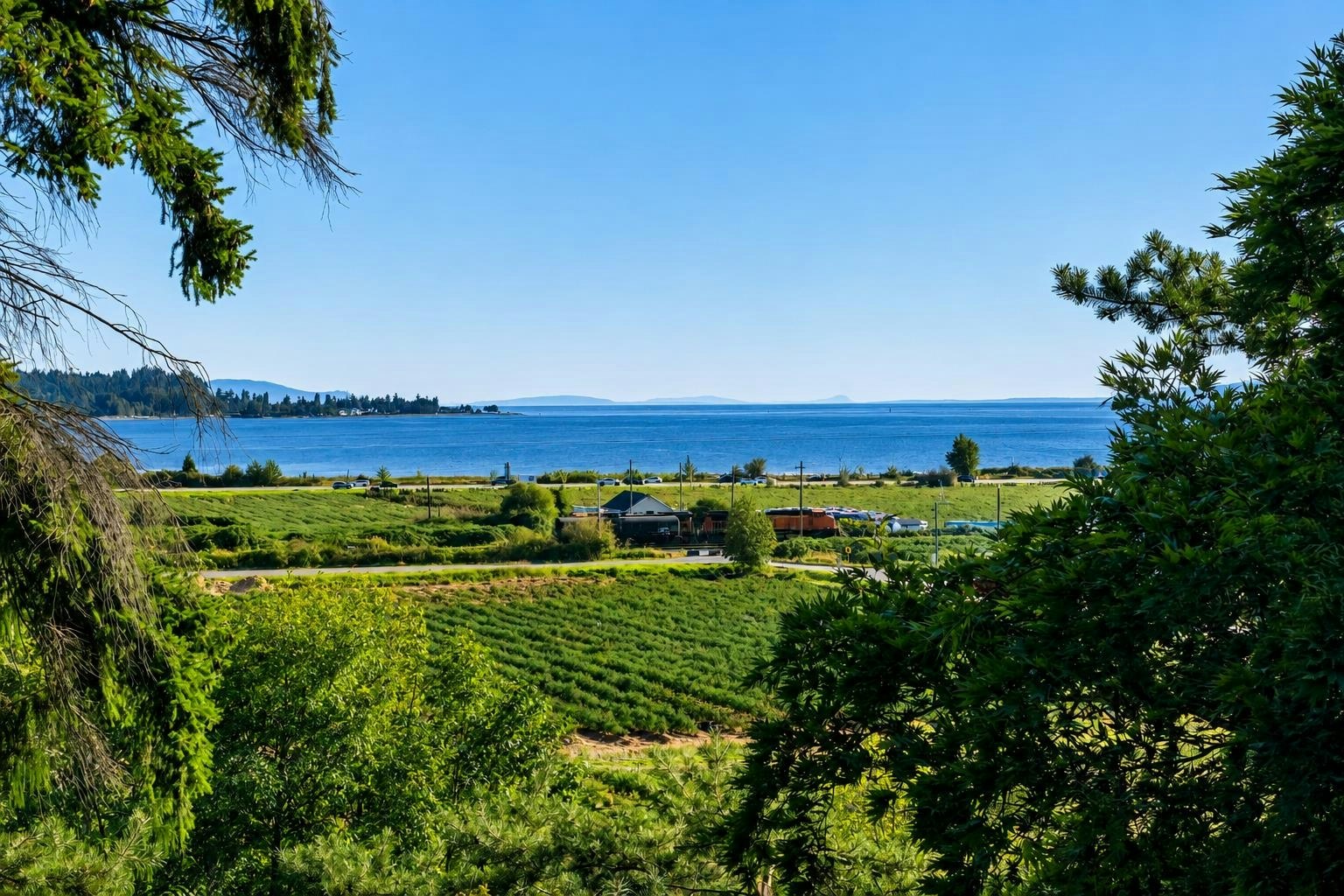 Panorama Ridge street view